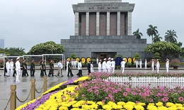 Những bông hoa trong vườn Bác