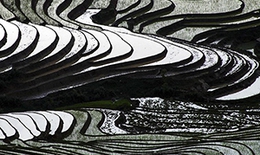 Mê mẩn vẻ đẹp của những ruộng bậc thang mùa nước đổ