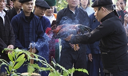 Lễ cúng thần rừng đầu nguồn của đồng bào dân tộc Mông