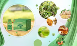 Những thảo dược giúp thanh nhiệt mát gan, phục hồi thể lực trong mùa hè nắng nóng