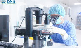 Bạn đã biết về tế bào gốc - "Kho báu" đặc biệt trong cơ thể?