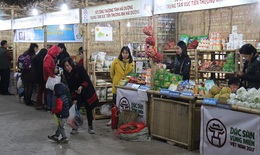 Tối nay, Khai mạc Hội chợ đặc sản vùng miền Việt Nam 2020