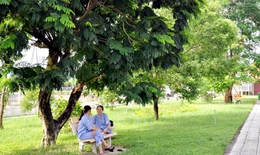 Cơ sở y tế phải ngày càng “xanh - sạch - đẹp” hơn trong mắt người bệnh