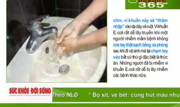 Bệnh đường ruột