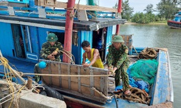 H&#224; Tĩnh chuẩn bị nhiều phương &#225;n chống b&#227;o Kompasu