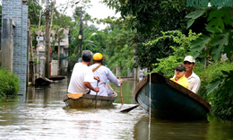 Cuộc sống ở nơi &#39;đường biến th&#224;nh s&#244;ng&#39;, ghe thuyền l&#224;m phương tiện đi lại