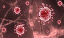 Vaccine có thể làm giảm tỷ lệ tử vong do biến thể Delta tới 90%