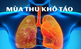 Ứng ph&#243; với bệnh nhiệt m&#249;a thu