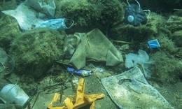 COVID-19 khiến lượng r&#225;c thải nhựa đổ ra đại dương tăng vọt