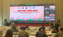 Đại dịch COVID-19  khiến nhiều mục tiêu phòng chống lao không thể 'cán đích'


