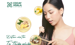 Tr&#224;o lưu detox cho t&#243;c chắc khỏe, giảm rụng t&#243;c đơn giản từ gừng dừa