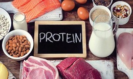 Hiểu về protein v&#224; tinh bột sử dụng đ&#250;ng, hiệu quả