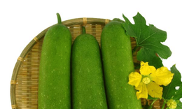 Bí đao – món ăn thanh phế mát vị, tốt cho người bệnh COVID