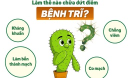 Thảo dược hỗ trợ cải thiện t&#236;nh trạng kh&#243; chịu do bệnh trĩ g&#226;y ra