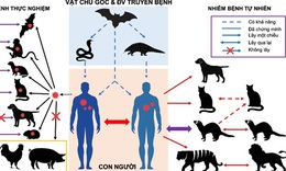 Ph&#242;ng bệnh COVID-19 khi tiếp x&#250;c với vật nu&#244;i 