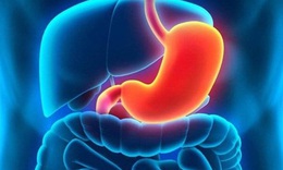 Vi&#234;m dạ d&#224;y bạch cầu &#225;i toan v&#224; nguy&#234;n tắc ăn uống đặc biệt để cải thiện bệnh
