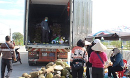 Cận cảnh những chuyến Mít Thái 'quay đầu', giá rẻ như cho