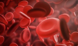 Điều trị bệnh máu khó đông Hemophilia A: Một kỷ nguyên mới đã mở ra