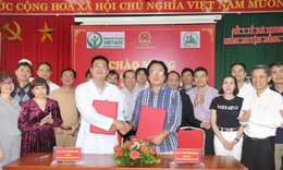 H&#224; Giang: Người d&#226;n được chăm s&#243;c sức khỏe chất lượng ngay tại y tế tuyến huyện