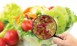 Cách nhận biết tác nhân gây ngộ độc thực phẩm