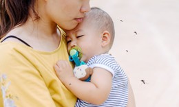 Tháng 11/2022 vẫn là mùa cao điểm phòng chống dịch sốt xuất huyết