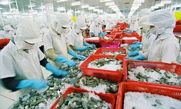 Việt Nam xuất khẩu n&#244;ng sản vượt kỷ lục d&#249; chưa hết năm 2022