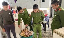 Ph&#225;t hiện 415kg ch&#226;n b&#242;, đu&#244;i b&#242;... h&#244;i thối chuẩn bị đưa đi ti&#234;u thụ