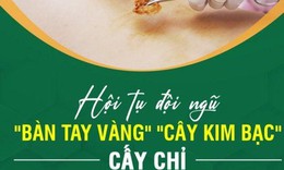 Địa chỉ cấy chỉ chữa bệnh uy t&#237;n, chất lượng hiện nay