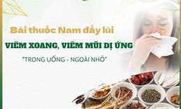 Chữa vi&#234;m xoang bằng Đ&#244;ng y kết hợp trong uống ngo&#224;i nhỏ