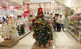 Bình Dương dồi dào hàng Tết phục vụ người dân