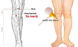 Cứu huyệt T&#250;c tam l&#253;, gi&#250;p tăng cường miễn dịch