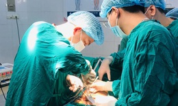 Lo dịch không đi khám, bé trai phải cắt bỏ một 'hạt cà', lưu ý quan trọng của bác sĩ để bảo toàn khả năng làm cha cho con
