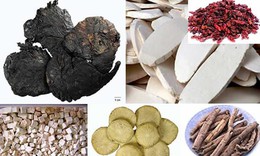Thận khí hoàn, bài thuốc bổ thận dương