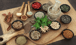 Bài thuốc thảo dược hỗ trợ bổ phổi, giảm ho phế quản