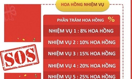 L&#224;m cộng t&#225;c vi&#234;n cho s&#224;n thương mại điện tử, người phụ nữ bị lừa gần 1 tỷ đồng