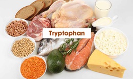 Thực phẩm gi&#224;u tryptophan gi&#250;p bạn c&#243; giấc ngủ ngon