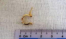 9X liều lĩnh chuy&#234;n giật khuy&#234;n tai của phụ nữ &#39;sa lưới&#39;