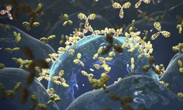 Tìm ra gene gây bệnh lupus ban đỏ, mở đường cho phương pháp điều trị mới