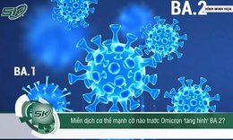 Omicron BA.2 cực kỳ g&#226;y l&#226;y nhiễm, c&#243; khả năng l&#226;y truyền trong kh&#244;ng kh&#237;