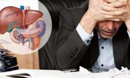 Men gan cao cảnh b&#225;o xơ gan, biến chứng