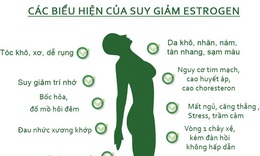 Nhận biết suy giảm nội tiết tố nữ - Estrongen