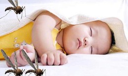 C&#225;ch ph&#226;n biệt sốt xuất huyết ở trẻ em với sốt do bệnh kh&#225;c