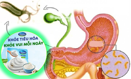 Vai tr&#242; của dinh dưỡng đối với sức khỏe đường ruột