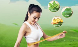 Tinh chất cần t&#226;y c&#244;ng nghệ Nhật Bản - Cải tiến mới trong loại bỏ mỡ thừa