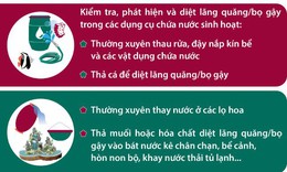 Infographic_6 điều n&#234;n l&#224;m để ph&#242;ng bệnh sốt xuất huyết