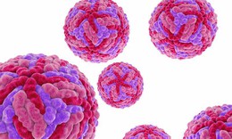 Viêm não Nhật Bản: Nguyên nhân, dấu hiệu nhận biết sớm và phương pháp điều trị