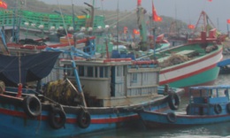 V&#236; sao 19 t&#224;u c&#225; ở Kh&#225;nh H&#242;a bị đưa v&#224;o diện mất t&#237;ch?