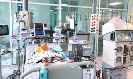 B&#233; trai 5 tuổi bị ong v&#242; vẽ đốt hơn 15 vết, chạy ECMO v&#224; lọc m&#225;u suốt 1 th&#225;ng