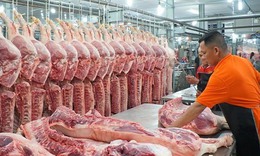 Gi&#225; thịt lợn tăng cao, điện, nước tăng do thời tiết nắng n&#243;ng đẩy CPI th&#225;ng 7 tăng 0,4%