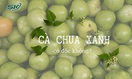 Cảnh báo cà chua xanh có thể gây ngộ độc